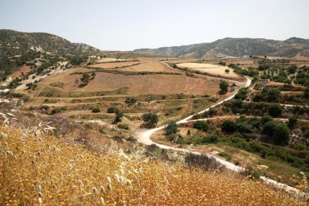 Panoramic Holidays Peyia Esterno foto